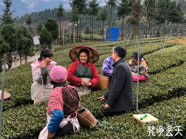 棉花镇人口_惜福镇棉花村