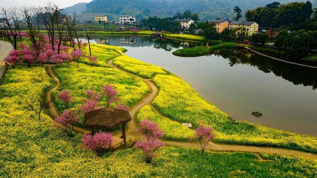 女神节惊喜巴南这个旅游景区恢复开园啦