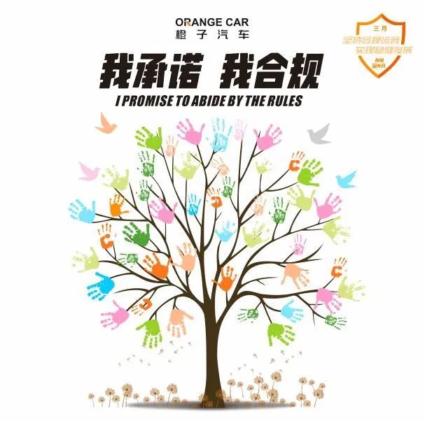 橙子汽车