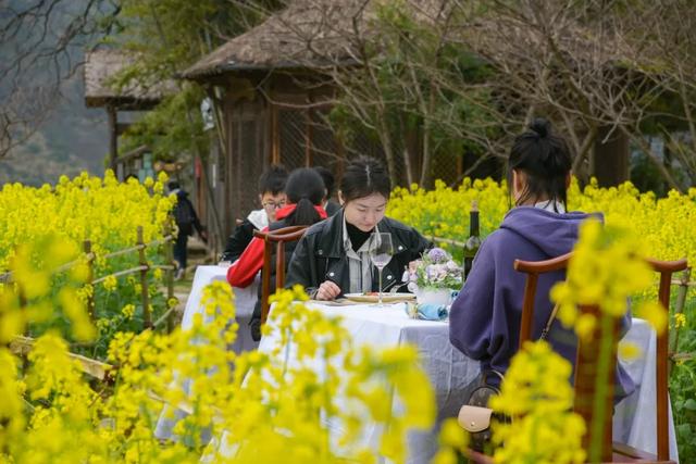 绝色餐厅空降婺源花海每餐仅12个座位开启赏春新方式