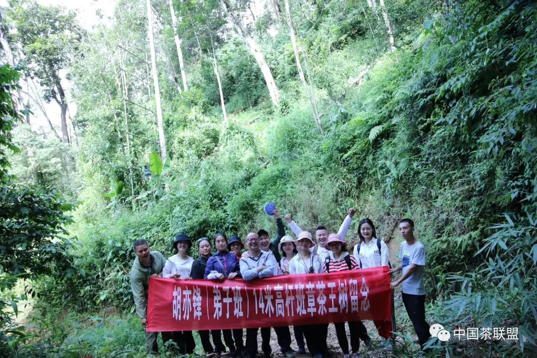 茶人口头蝉_刘长杆口头蝉(3)