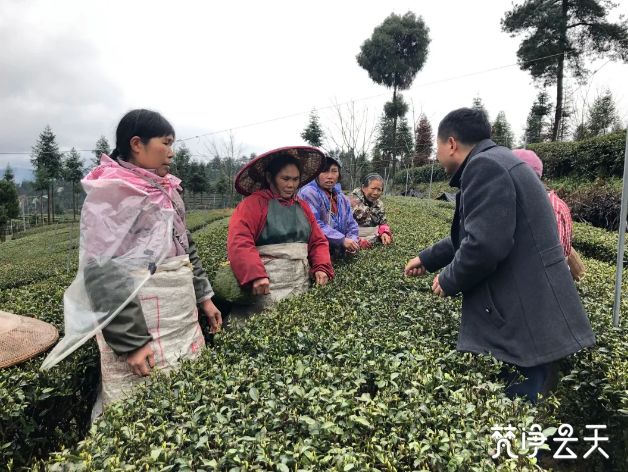 棉花镇人口_惜福镇棉花村