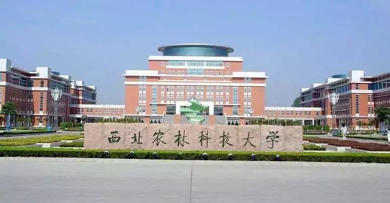 2020年9月计算机ESI排名9_ESI最新排名出炉(2020年5月),附中国内地大学上榜