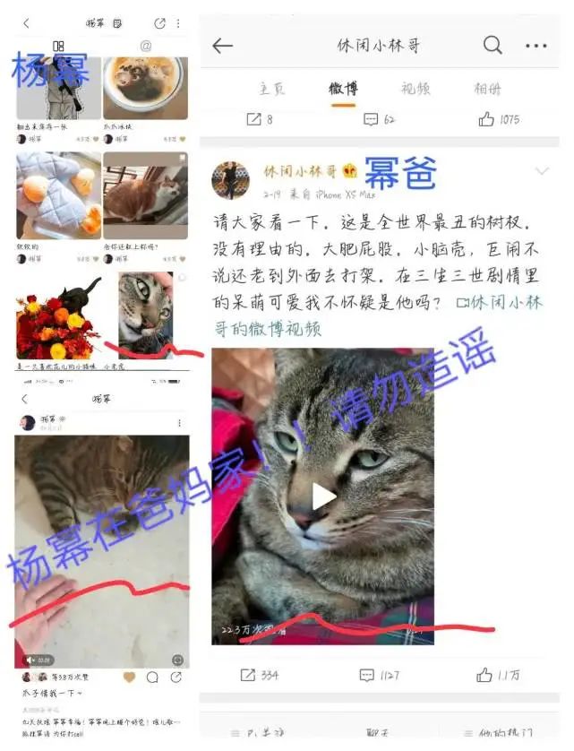 杨幂和魏大勋假分手真同居？为爱走钢丝，离婚