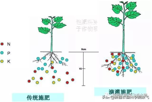 分需求规律是指农作物不同生育时期对氮磷钾等各种营养元素的吸收特征