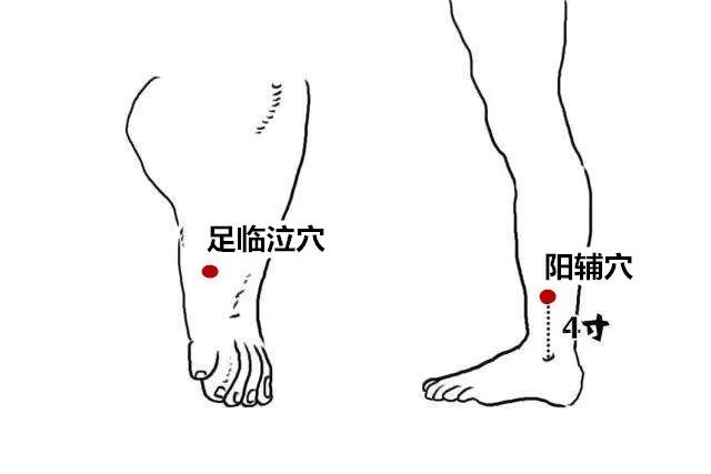 阳辅穴在小腿的外侧,脚外踝关节上方四寸的位置.