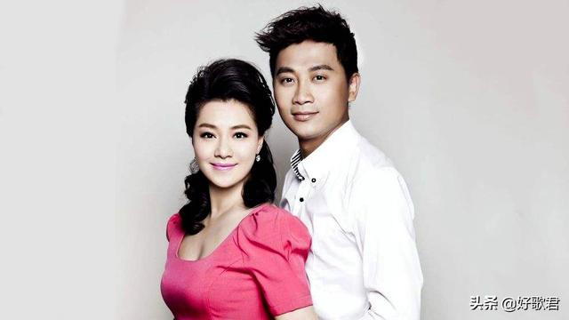 王丽达,杨子一,毛宁,杨钰莹,刀郎,金婷婷,吕继宏等歌曲