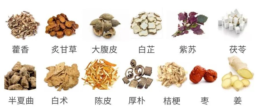 我们的中医第一期藿香正气散