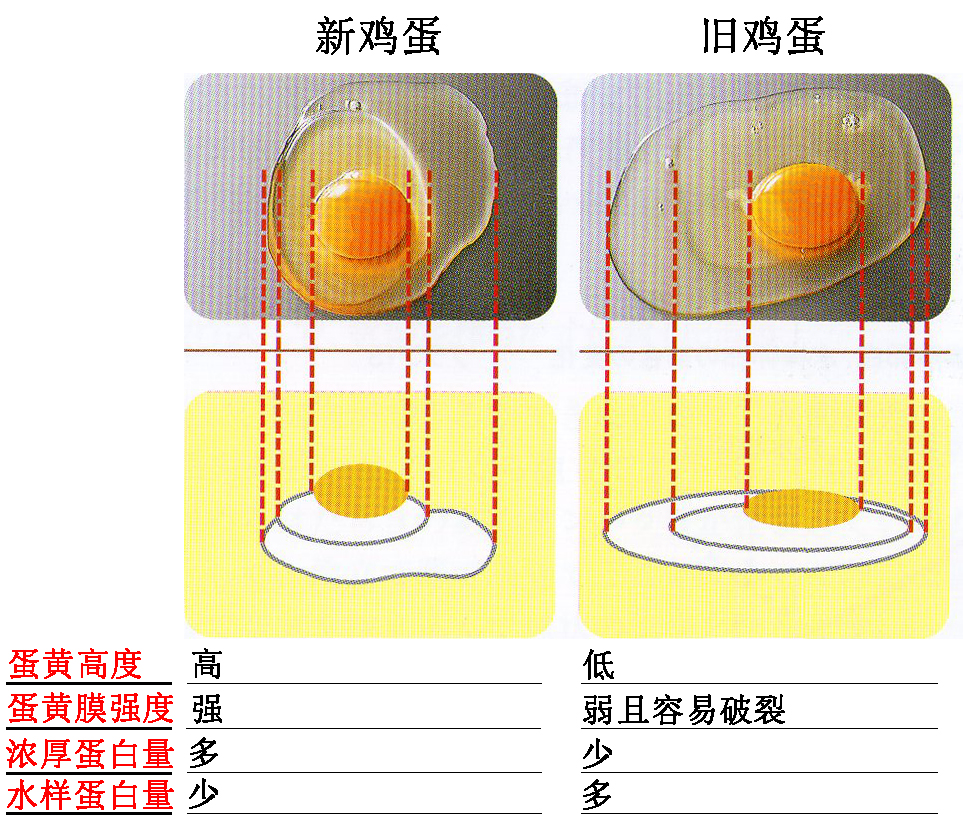 史上最全烘焙原料 | 鸡蛋在烘焙中的作用