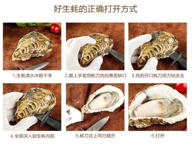 生蚝营养成分表100克,鲈鱼营养成分表100克 深受吃货们的喜爱而乳山生蚝以其鲜嫩肥美的肉质具有很高的营养价值