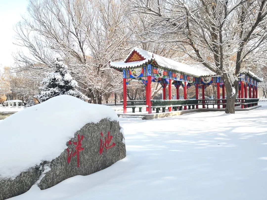 春雪中美丽的石河子大学在诉说