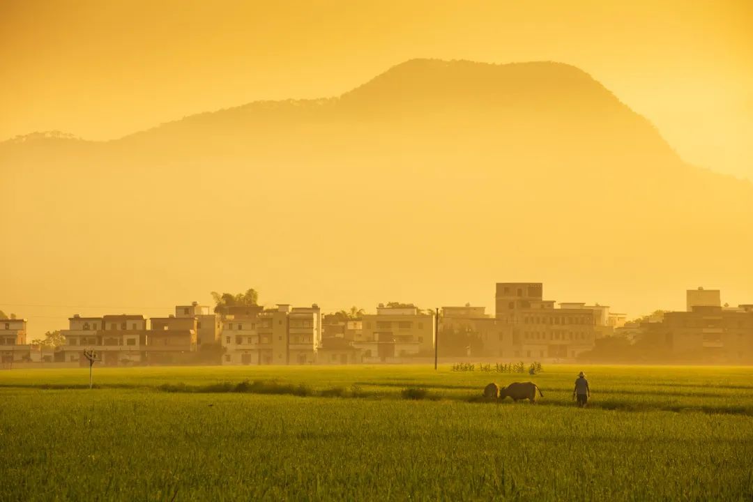 广东有多少湖北人口多少_湖北到广东地图(3)