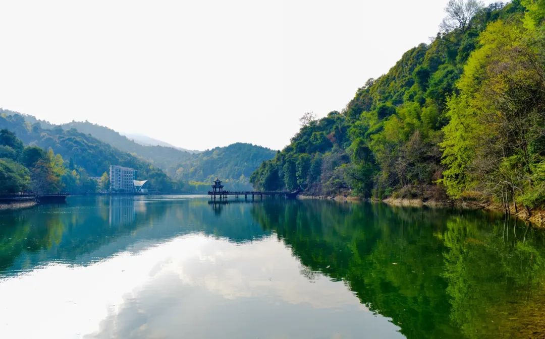 阳明山景区恢复开园ii繁花盛开正待君来