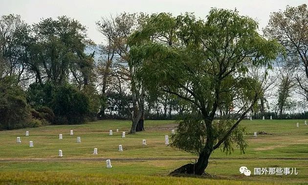 纽约应对疫情早有预案：各地部署移动太平间，