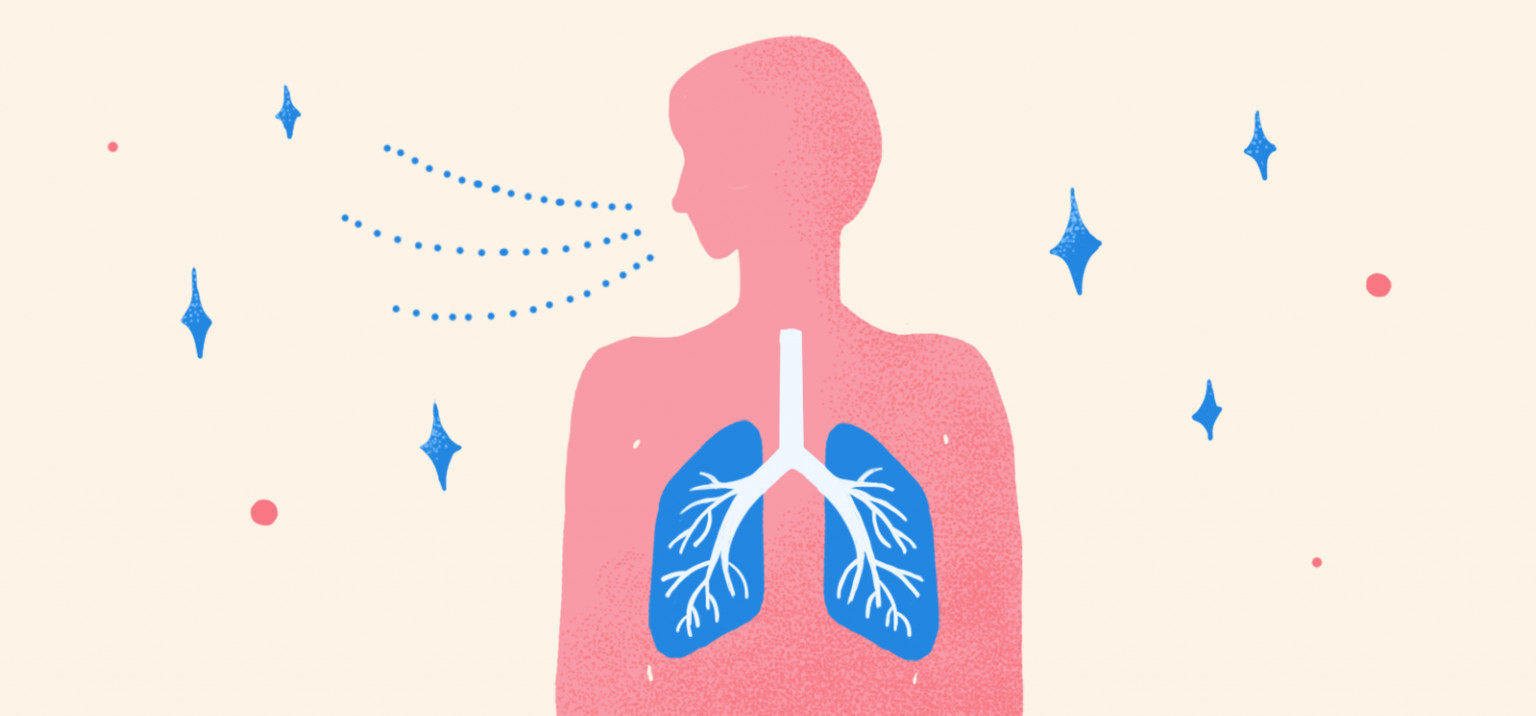 呼吸可以改变脸型还能影响食欲?关于呼吸的那些有趣真相