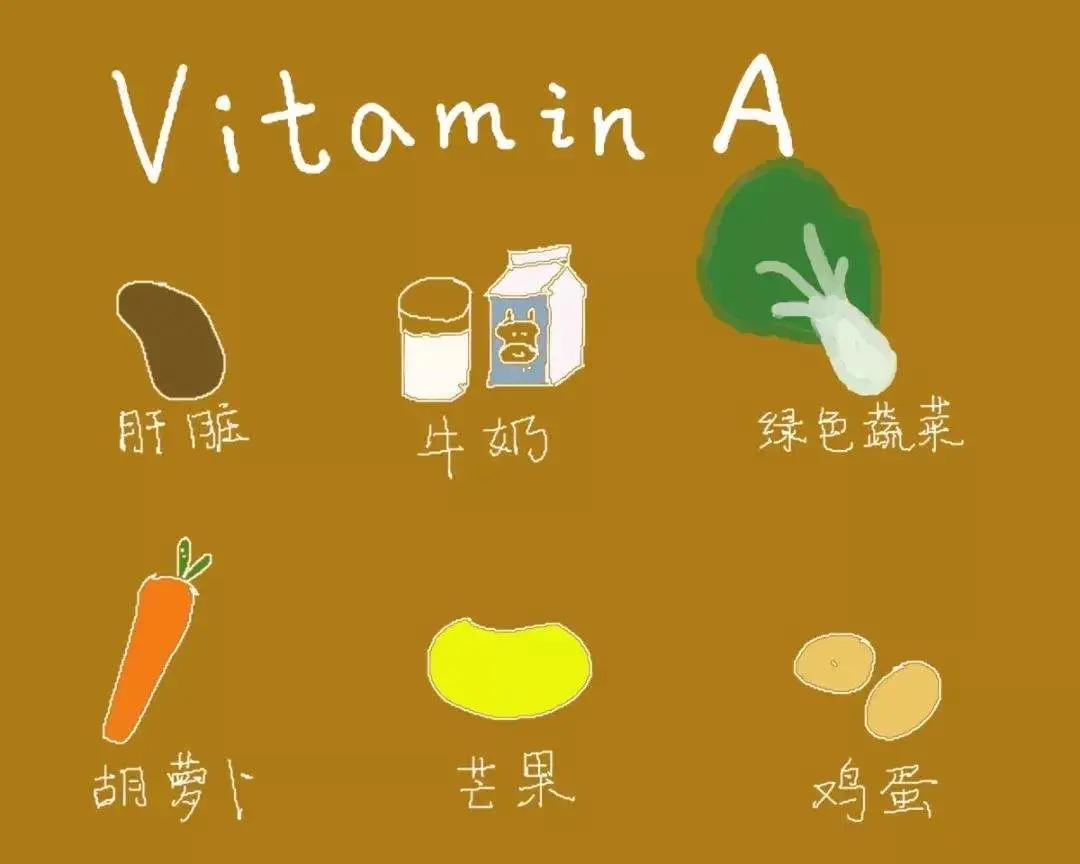 富含维生素a的食物主要是动物肝脏,植物性食物只能提供类胡萝卜素(可