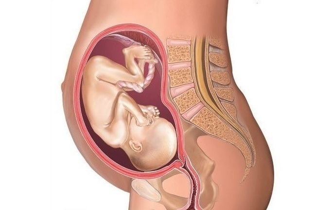 怀孕1一9月肚子变化图 高清展示