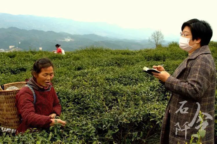 巾帼风采—为石阡各行各业女性点赞_易秉荣