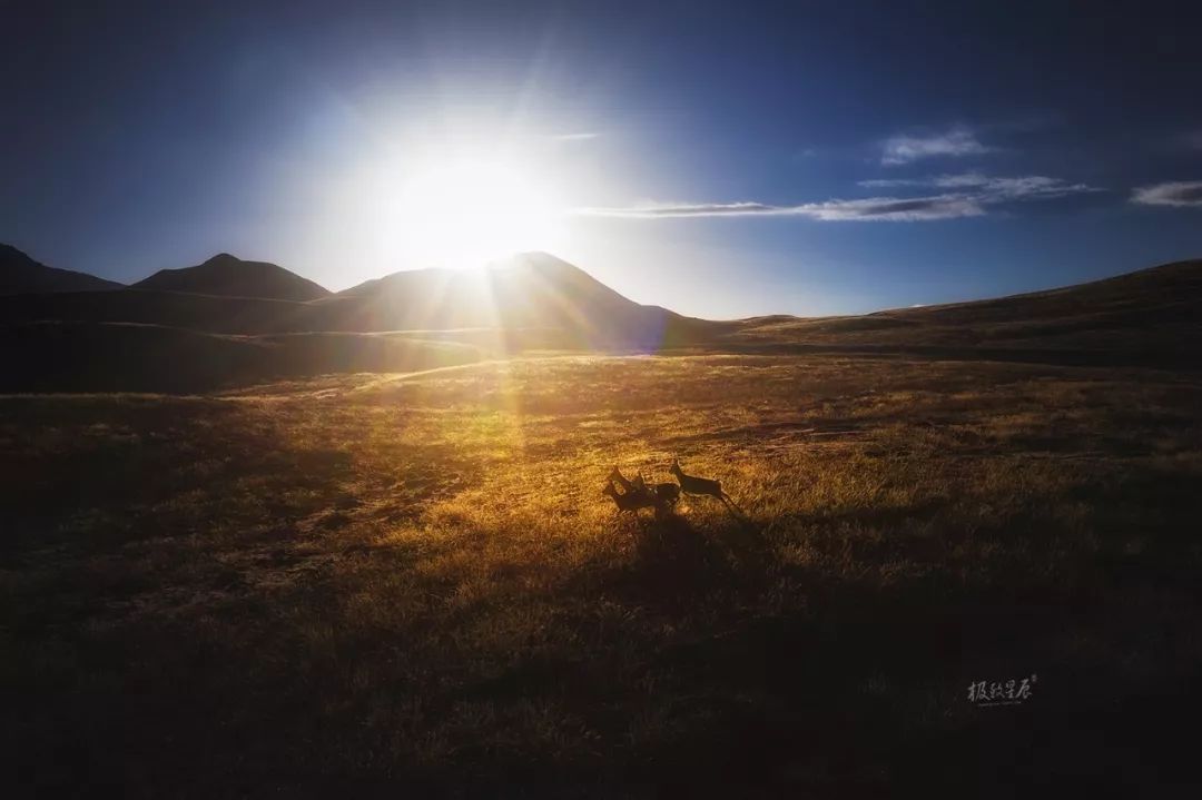 拍摄时间:2018年10月 在昆仑山国家公园的腹地,每天日出日落时分,都