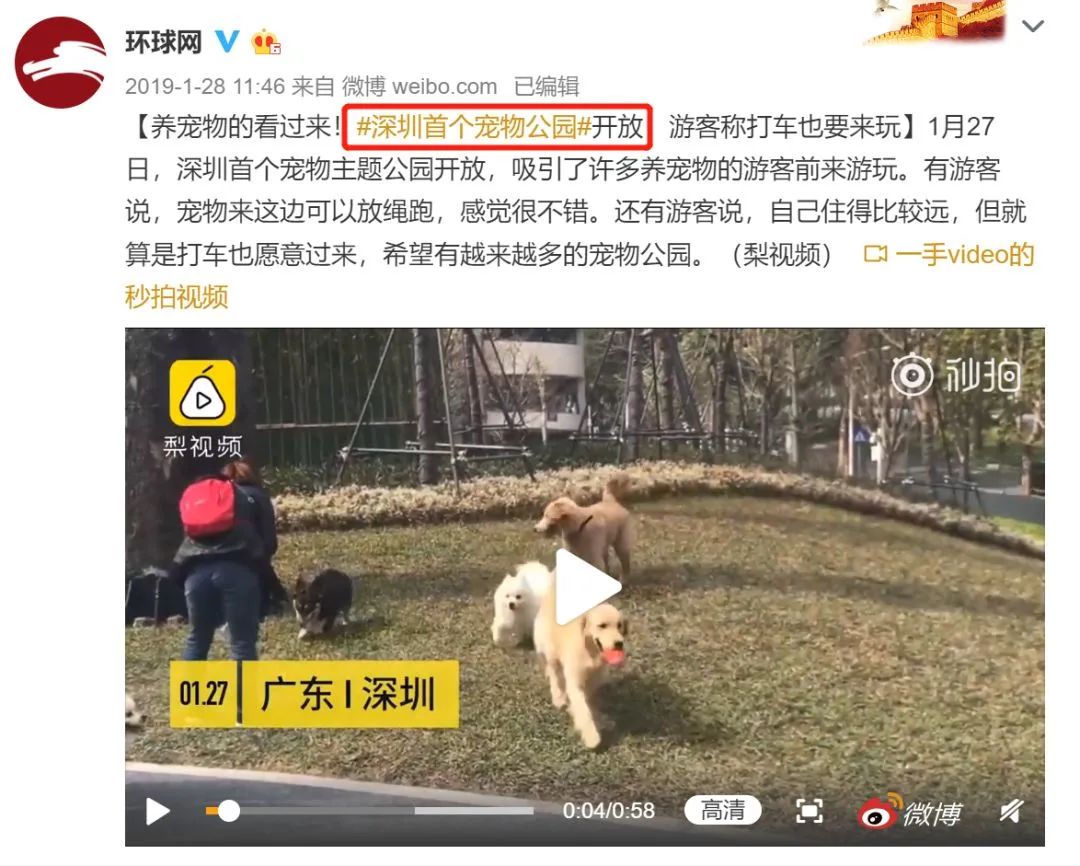 终于等到了中国拟立法禁食狗肉吃狗猫肉将是违法行为