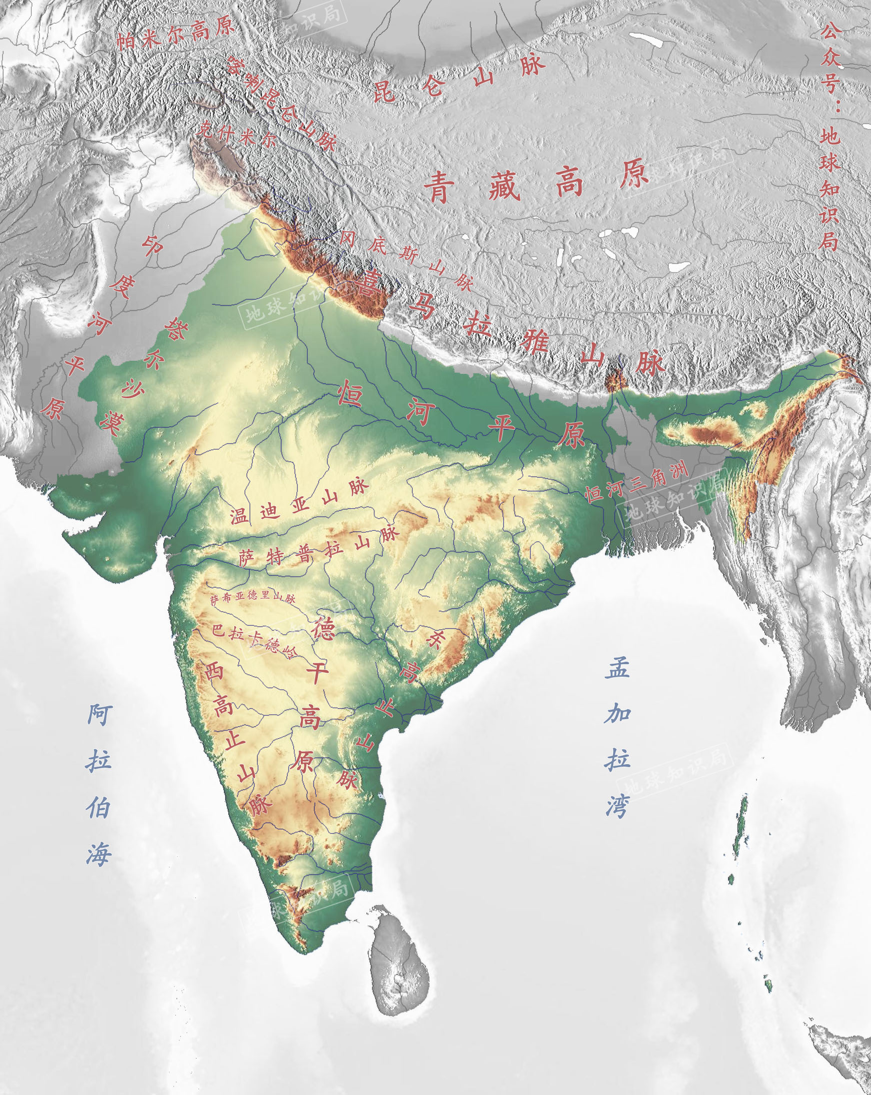 2020年蝗虫会来中国么?几乎不可能 | 地球知识局