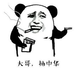"老李不示弱,又掏出一根:"知道这是啥烟不,这个是小熊猫…"就在这时