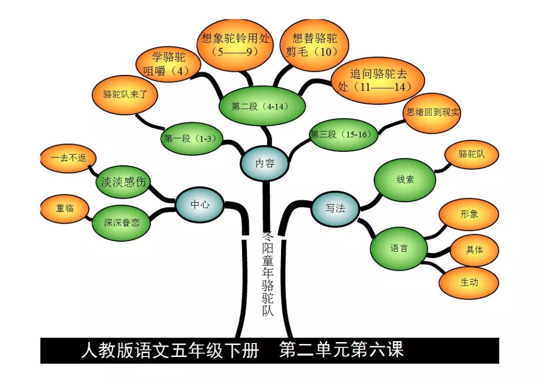 博士后伴你学五年级语文下册课文内容思维导图