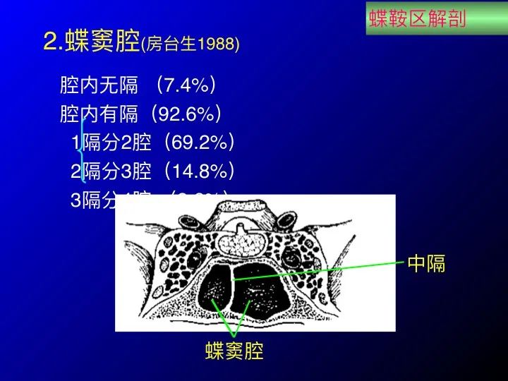 【推荐】鞍区应用解剖 断层解剖图谱