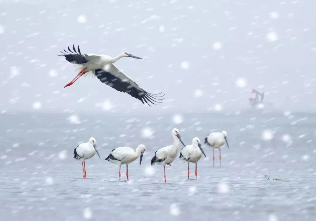 792800ddba3a4a72a19efa5d6176cfc6.jpeg