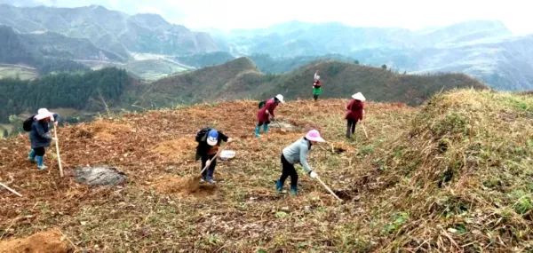 人口基地是什么_红色基地图片