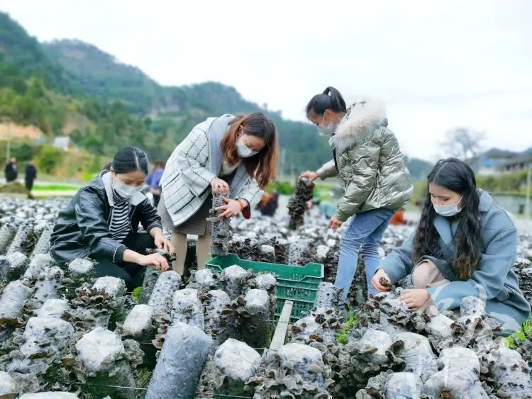 巾帼风采—为石阡各行各业女性点赞_易秉荣