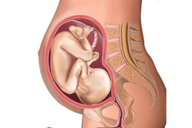 怀孕1一9月肚子变化图 高清展示