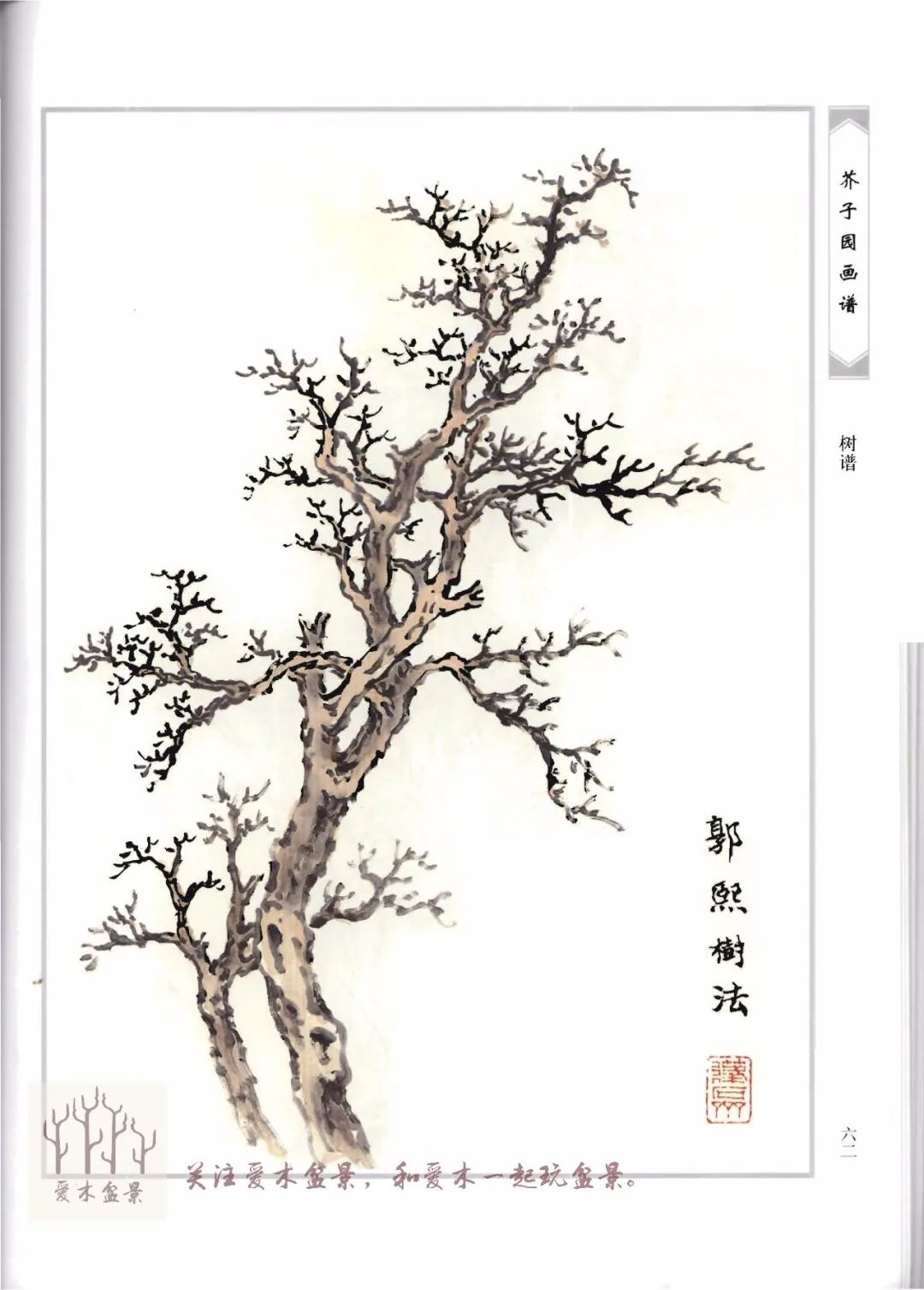 《芥子园画谱-树谱》分享5,各名家画法的风格