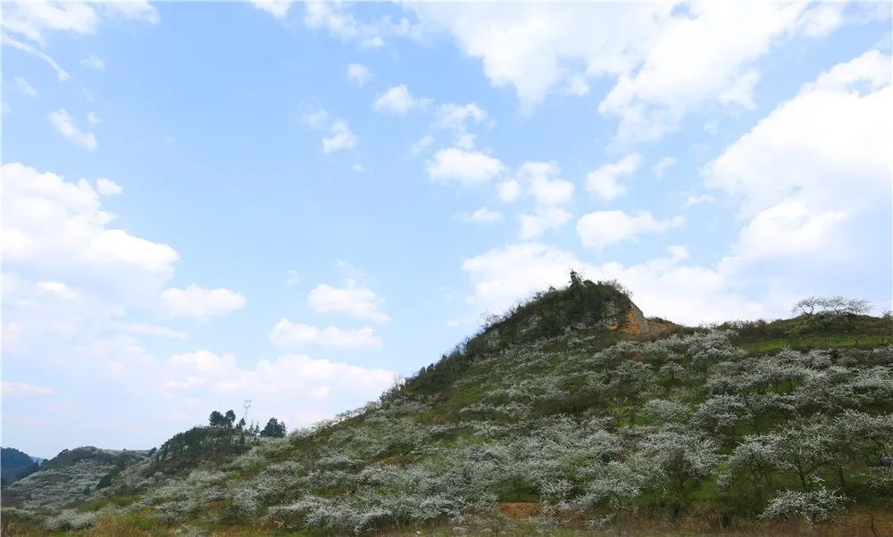 贵定金海雪山景区暂时封闭!