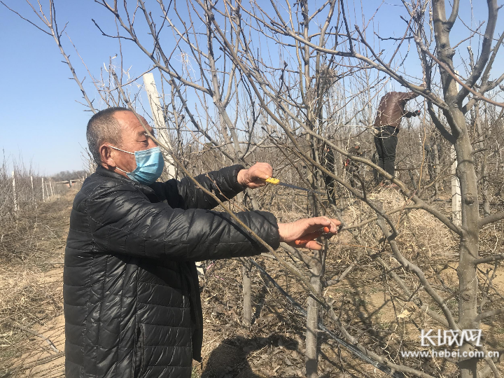 威县章台人口多少_威县地图