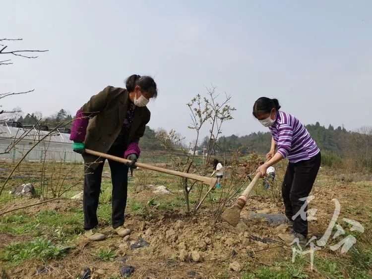 巾帼风采—为石阡各行各业女性点赞_易秉荣