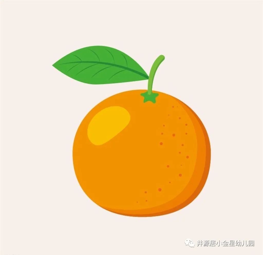 orange  橙子