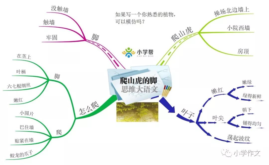 【博士后伴你学】部编四年级语文课文的思维导图