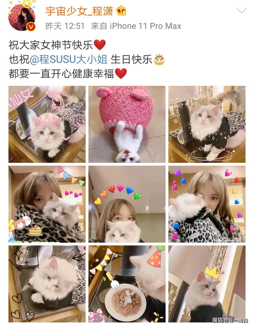 原创程潇晒与宠物猫合照与爱猫同穿豹纹衣都是傲娇小仙女