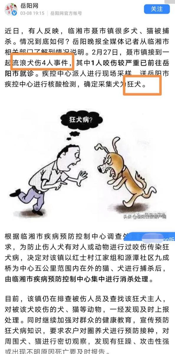 媒体的文章,发现已经被平台删除了……所以啊,类似这种杀猫杀狗的信息