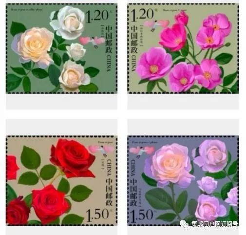 新邮玫瑰花特种邮票设计大赛