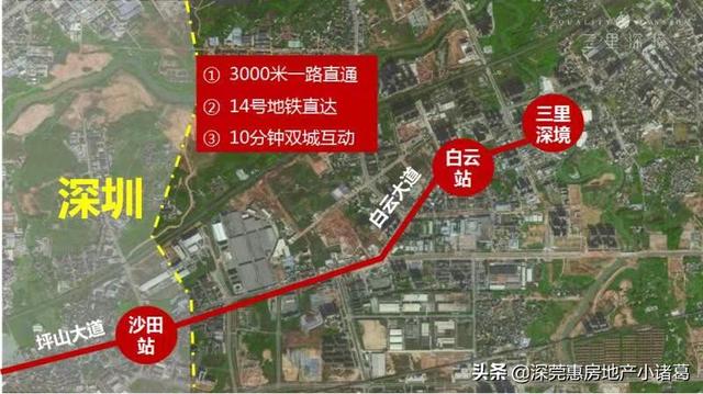 大亚湾有多少人口(3)