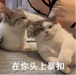 我飞奔上去就是一脚