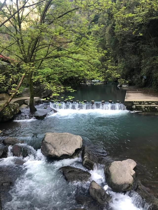 榉溪村人口_盐亭榉溪乡寇氏族谱