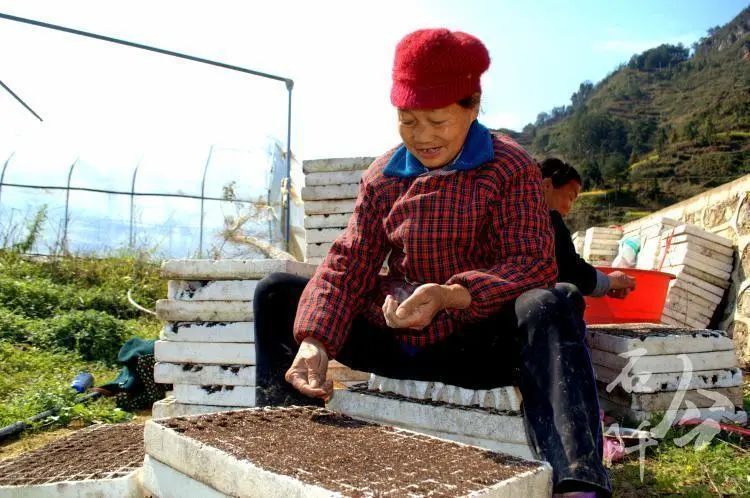 巾帼风采—为石阡各行各业女性点赞_易秉荣