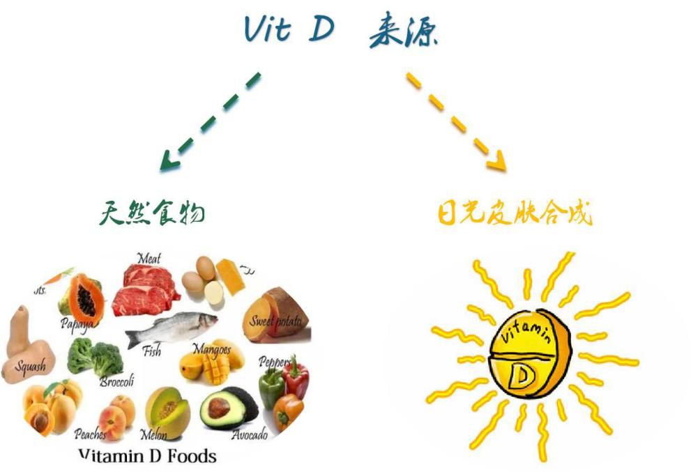 如何提升免疫力—被忽视的维生素d