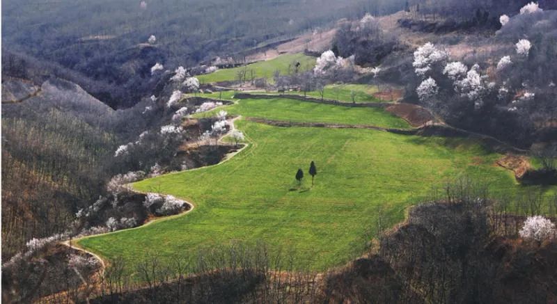 野河山景区面积1687公顷,这里山谷幽深,景区内有18万亩刺槐林,是我国