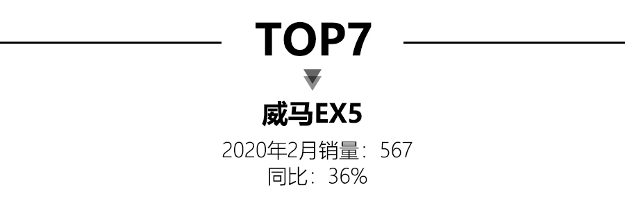 2月新能源销量解读