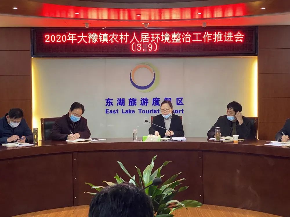 张桂霞对2020年大豫镇创建全国文明城市工作任务分解表进行详细解读