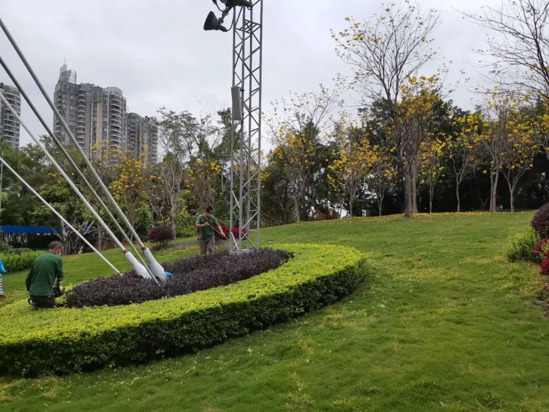 运营管理工程部景观室持续做好园区绿化养护工作